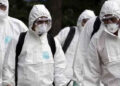 Ebola outbreak - تفشي إيبولا