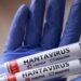 hantavirus prevention measures - فيروس هانتا الوقاية