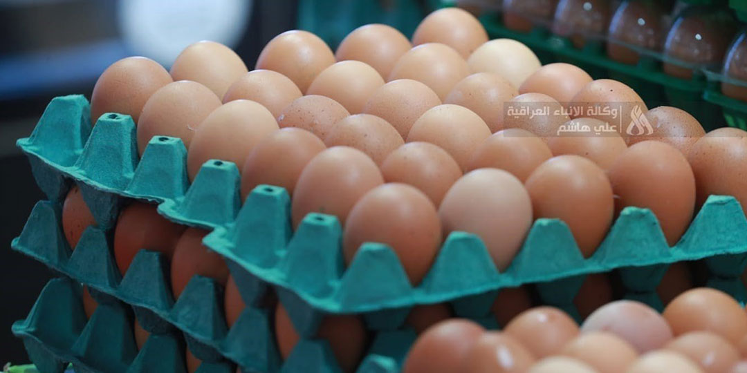 Iraq egg prices