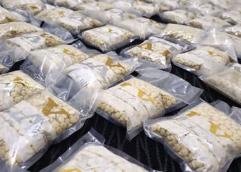Iraq anti-drug campaign - مكافحة المخدرات في العراق