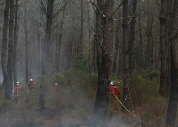 Southwest France wildfires - حرائق جنوب غرب فرنسا