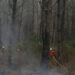 Southwest France wildfires - حرائق جنوب غرب فرنسا