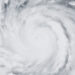 Typhoon Noel - إعصار نول