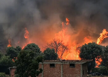 Algeria wildfires - حرائق الغابات في الجزائر