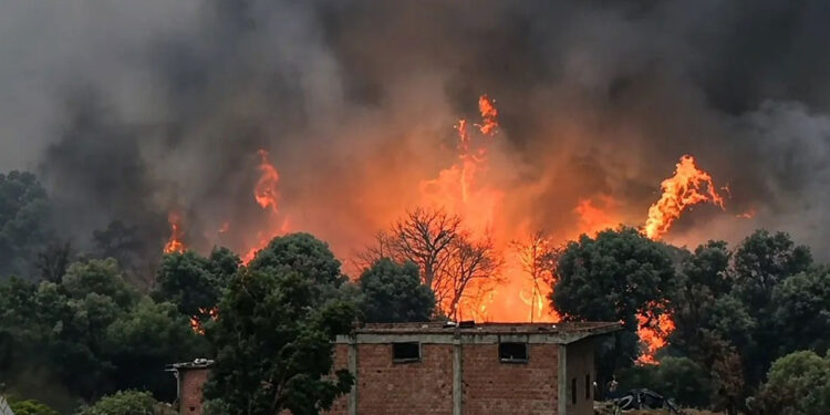 Algeria wildfires - حرائق الغابات في الجزائر