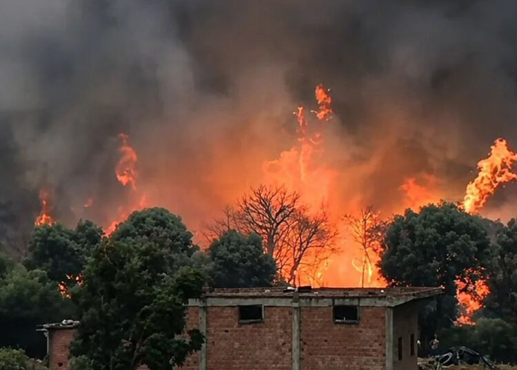 Algeria wildfires - حرائق الغابات في الجزائر