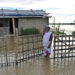 Assam floods - فيضانات أساّم