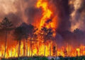 Europe wildfires - حرائق الغابات في أوروبا