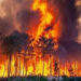 Europe wildfires - حرائق الغابات في أوروبا