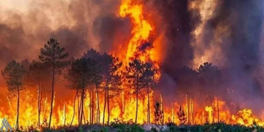 Europe wildfires - حرائق الغابات في أوروبا