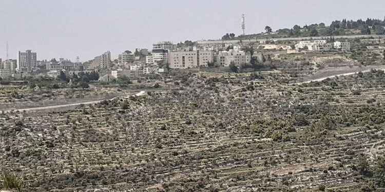 seizes 1,152 dunams - مصادرة 1152 دونماً