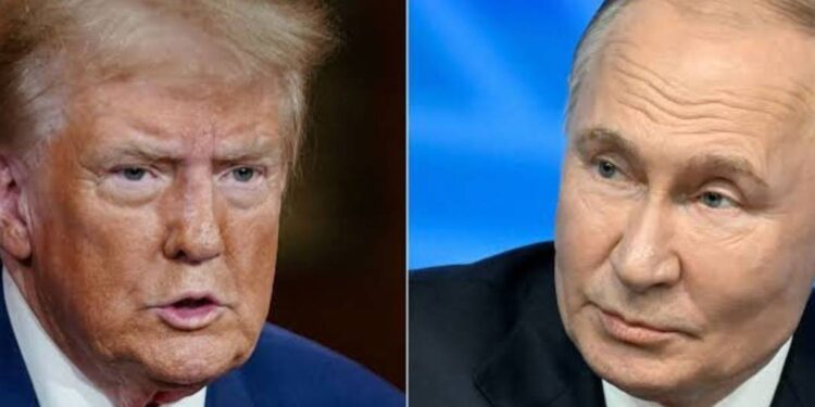 Putin and Trump phone talks - مباحثات بوتين وترامب