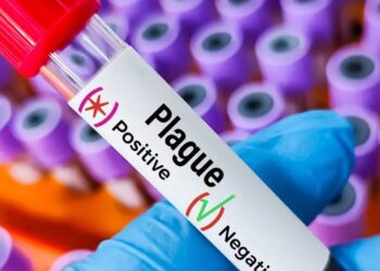 plague outbreak in Siberia - تفشي الطاعون في سيبيريا