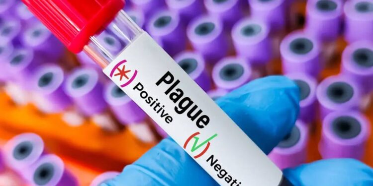 plague outbreak in Siberia - تفشي الطاعون في سيبيريا