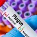 plague outbreak in Siberia